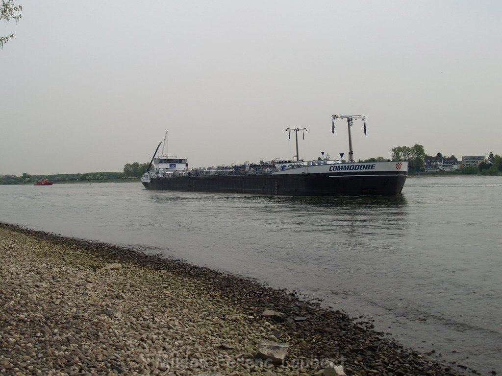 Schiffs Havarie bei Godorf  P103.JPG
